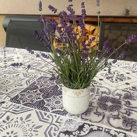Holiday home Margareta *